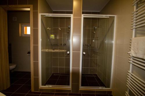a bathroom with a shower with glass doors at Radics Panzió Étterem és Pihenő Központ in Letenye