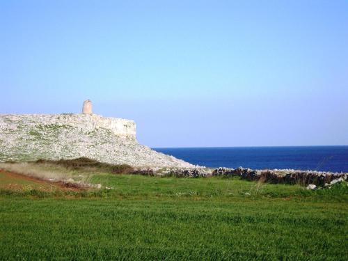 a herd of sheep standing on a hill next to the ocean at Masseria delle Rose 1760 in Alessano
