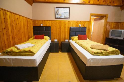 two beds in a room with wooden walls and a tv at Radics Panzió Étterem és Pihenő Központ in Letenye