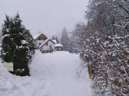 a snow covered road in front of a house at InGreen house in Bohinjska Bela