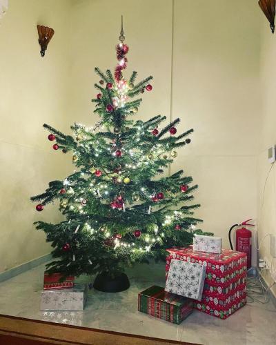 a christmas tree with presents in front of it at Salve Teplice in Teplice