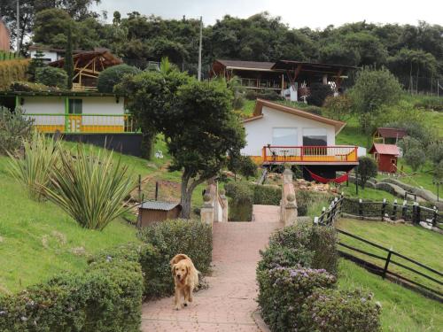 a dog walking down a brick walkway in front of a house at Chalet en Granja Campo Hermoso in Cogua