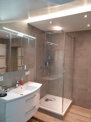 a bathroom with a glass shower and a sink at Apartment und Ferienwohnung, Wohnen auf Zeit, Kurring 8, Bad Rodach in Bad Rodach