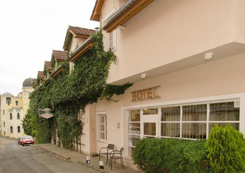a hotel with ivy growing on the side of a building at Penzion Andy in Děčín
