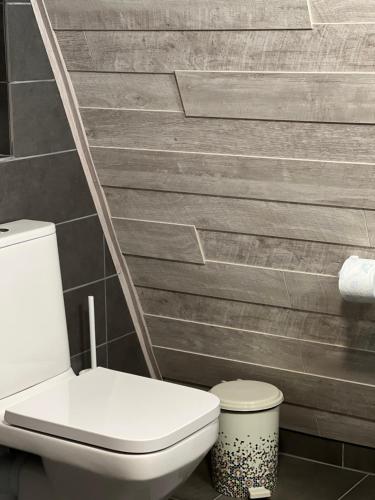 a bathroom with a toilet and a wall at AGLAS CHALET in Moieciu de Jos