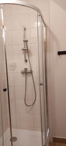 a shower with a glass door in a bathroom at Grażynka in Zakopane