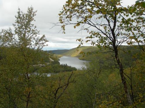 Blick auf einen See durch die Bäume in der Unterkunft Kenestupa Matkailukeskus in Utsjoki