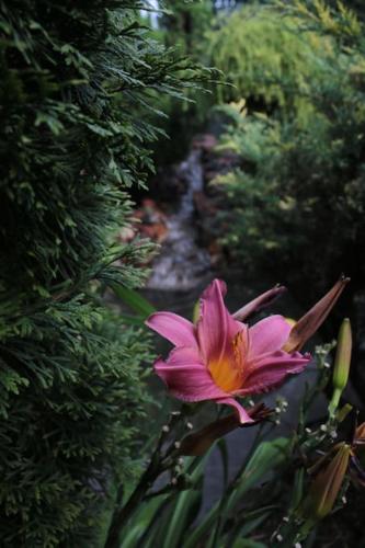 Taman di luar Апартаменты в гостевом домике