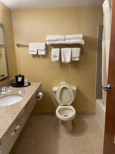 a bathroom with a toilet and a sink and towels at Quality Inn Vineland in Vineland