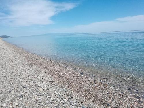 Fotografie z fotogalerie ubytování Oasi Park Hotel v destinaci Mascali
