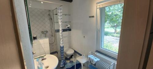 a bathroom with a shower and a toilet and a window at Ferienhaus Schöne in Lebbin in Groß Teetzleben