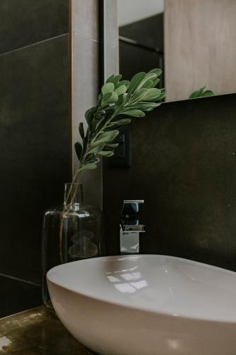 ein Badezimmer mit einem weißen Waschbecken und einer Vase mit einer Pflanze in der Unterkunft Matiana Estudiante in Zacatecas