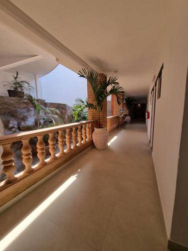 a hallway with a balcony with a potted plant at Marboka Hotel & Suites in Puerto Vallarta
