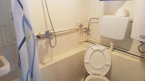 łazienka z toaletą i prysznicem w obiekcie Luccia Apartments - Country House at Monastery Saint Naum w Ochrydzie