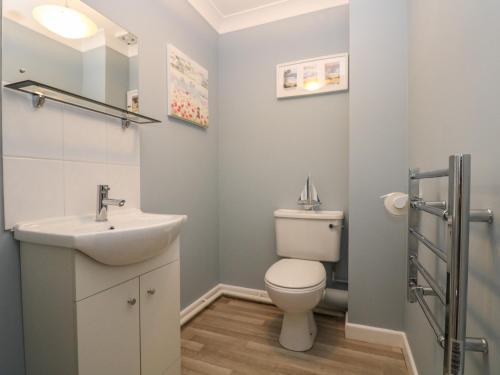 Un baño con un inodoro blanco y un lavabo. en Robinswood, en Falmouth