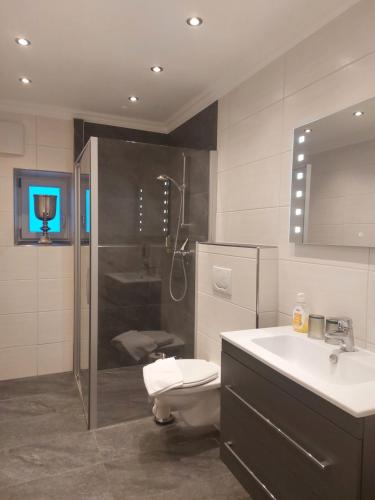 een badkamer met een douche, een toilet en een wastafel bij Grenzberg Appartements in Bad Gastein