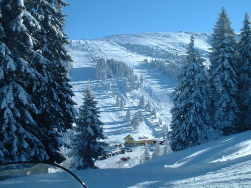 Feriendorf Koralpe Alpenrose durante o inverno