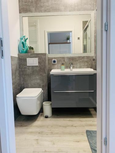 a bathroom with a sink and a toilet and a mirror at Apartament Stemar z dyżym baloknem in Gorzów Wielkopolski