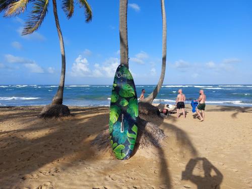 a surfboard hanging from two palm trees on a beach at Puntacana Ecolodge Lavacama Beach Costa Arrecife in Punta Cana
