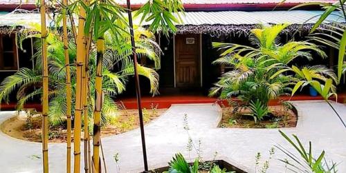 a house with a bunch of palm trees in front of it at Naaval Beach Villa & Rooms in Batticaloa
