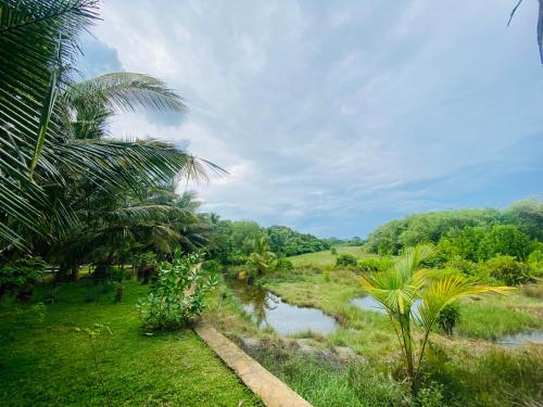 a river in the middle of a field with trees at Hidden Garden Tangalle in Tangalle