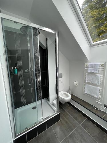 une salle de bain avec une douche en verre et des toilettes dans l'établissement Love Viou, à Ramonchamp