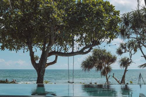 a swing hanging from a tree on the beach at Naomi Beach Resort - Adults only in Weligama