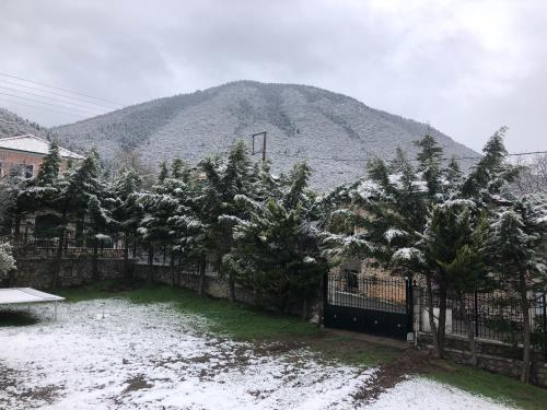 a fence with trees in front of a mountain at "Orchomenos" Apartment of Levidi Arcadian Apartments in Levidi