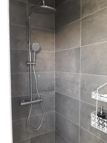 a shower with a shower head in a bathroom at Maison TONGA piscine /jacuzzi chambre de luxe in Saint-Pierre