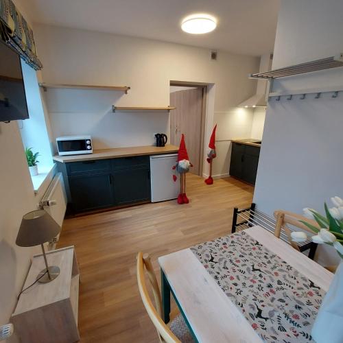 a room with a kitchen and a table in a room at Willa Marianna in Lądek-Zdrój