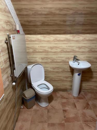 un baño con inodoro y lavabo en Орел, en Mykulychyn