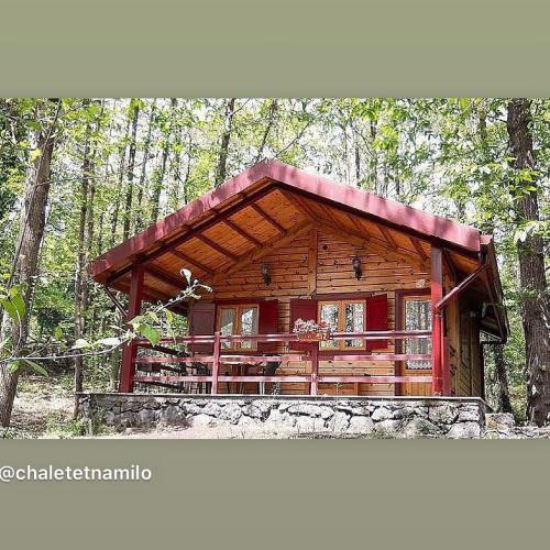 a log cabin in the middle of the woods at CHALET ETNA MILO in Milo