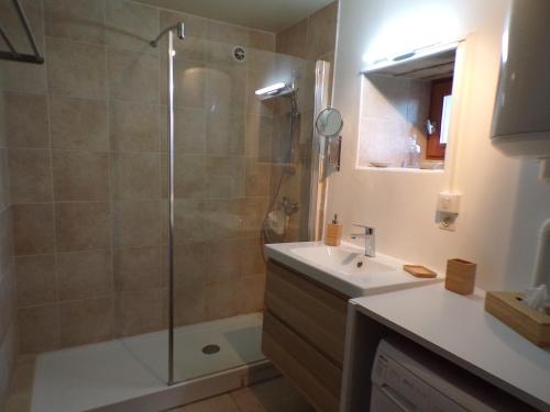 een badkamer met een douche en een wastafel bij maison authentique 2 à 8 personnes in Uncey-le-Franc