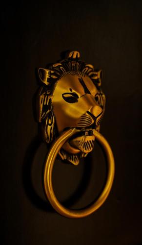 a gold ring with a lion head with a tail at Sahdev Bagh in Pushkar