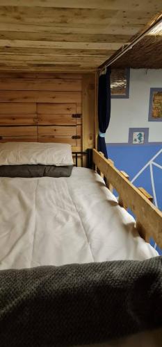 Katil atau katil-katil dalam bilik di Sunset beach backpackers