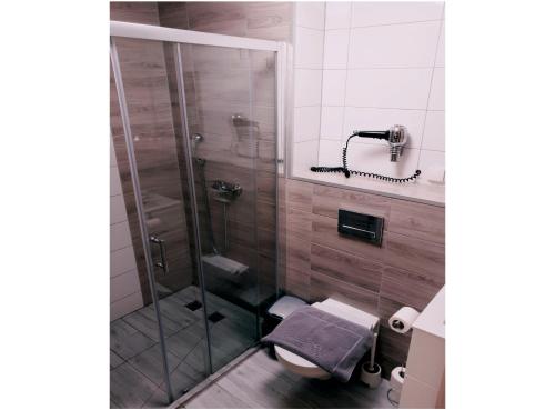 uma casa de banho com um chuveiro e um WC. em Biały Słoń em Gdynia