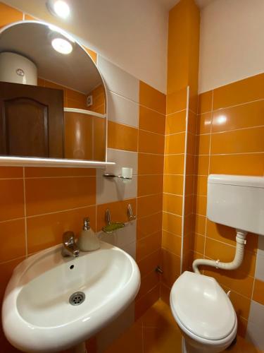 a bathroom with a sink and a toilet and a mirror at Apartmani OKO Zlatibor in Zlatibor