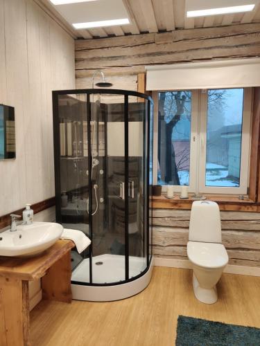 a bathroom with a shower and a toilet and a sink at Ökopesa Külaliskorterid in Otepää