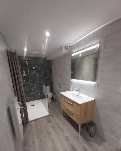 une salle de bain avec un lavabo et une douche dans l'établissement Grand T3 piscine, garage centre port, au Cap d'Agde