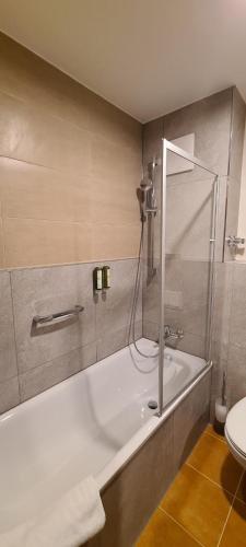 a bathroom with a bath tub and a toilet at Robenstein Aktivhotel & SPA in Zwiesel