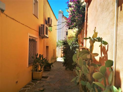 an alley with a bunch of cacti and plants at Hotel L'Escapade in Le Lavandou