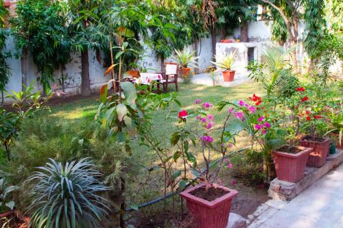 a garden with a bunch of plants and flowers at Falcon guest house in Bharatpur