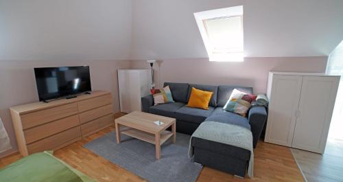 Televízia a/alebo spoločenská miestnosť v ubytovaní Fenyves Apartmanok