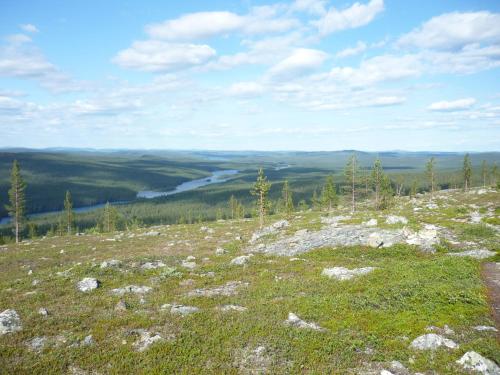 a view from the top of a grassy hill with a river at Lemmenjoen Lumo - Nature Experience & Accommodation in Lemmenjoki