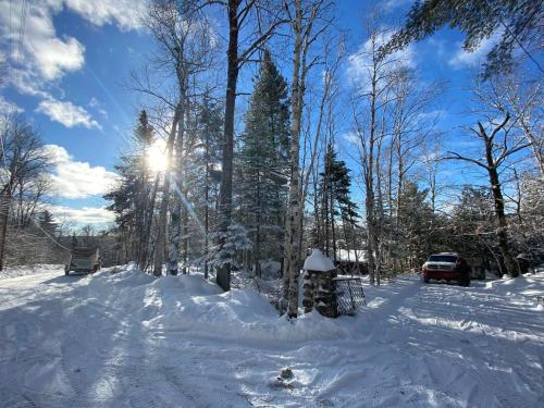 a snow covered street with the sun shining through trees at Le petit chalet sur le lac in Sainte-Marguerite
