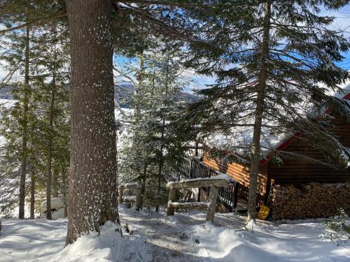 a log cabin in the snow next to a tree at Le petit chalet sur le lac in Sainte-Marguerite
