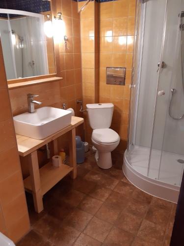 a bathroom with a toilet and a sink and a shower at Na Równi in Zakopane