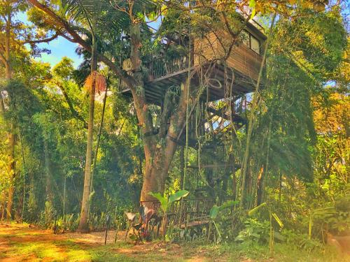 Botánico Glamping – Photos 2