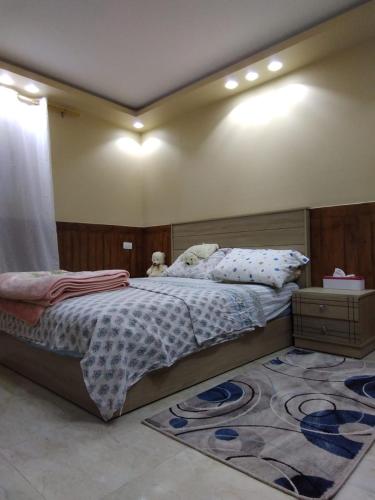 a bedroom with a large bed and a rug at Appartamento vicino alle piramidi in Cairo