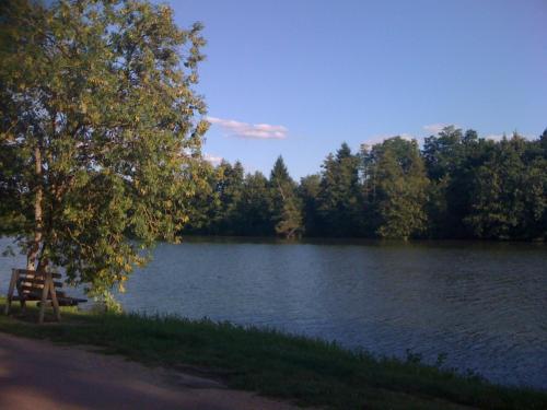 un banc de parc installé à côté d'un lac dans l'établissement La Rivière Meublé de Tourisme 2 étoiles, à Laroche-Saint-Cydroine